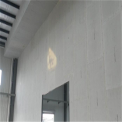 浙江新型建筑材料掺多种工业废渣的ALC|ACC|FPS模块板材轻质隔墙板